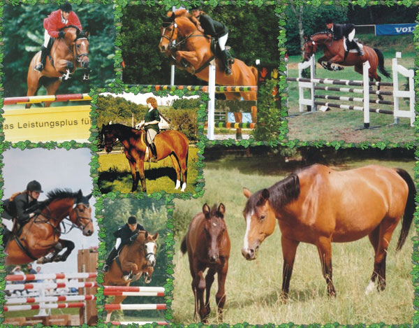 Melodie und Nachzucht